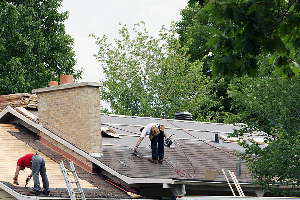Best Roof Repair Services  in South Bloomfield, OH